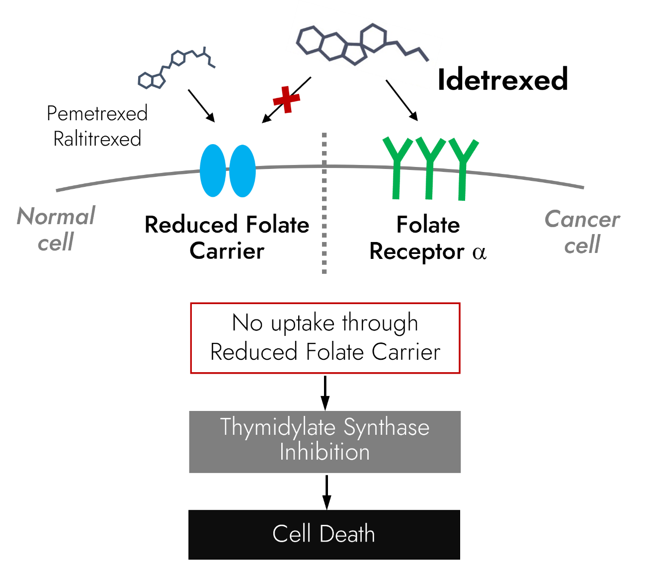 Mechanism